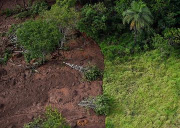 “Não temos noção do risco em Minas Gerais. Cidades podem desaparecer de uma hora para outra”