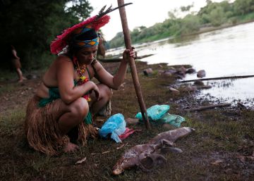 Lama da barragem em Brumadinho ameaça futuro da aldeia Pataxó Hã-hã-hãe