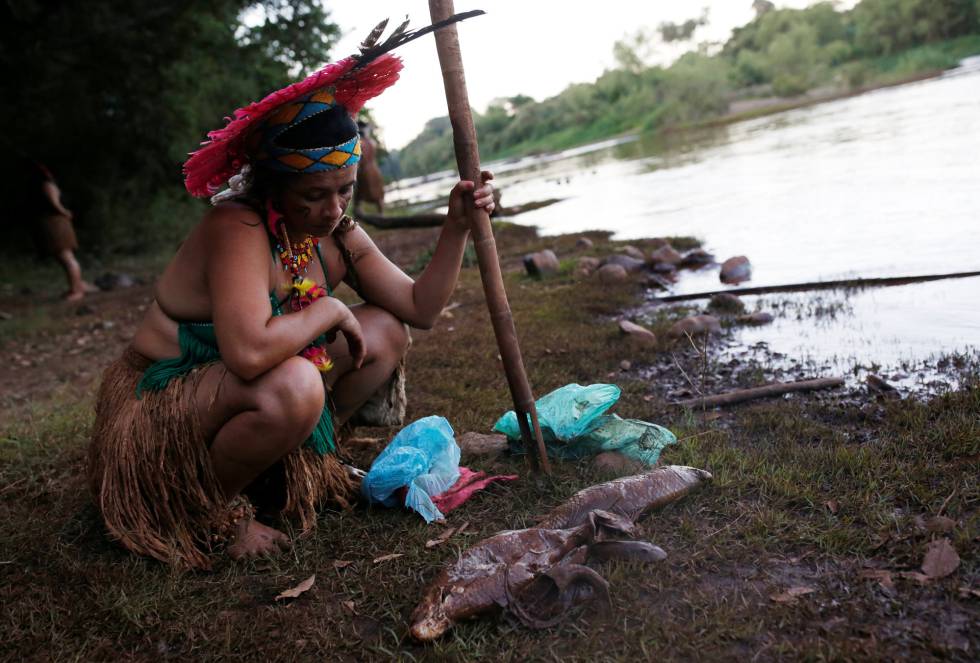 Lama de Brumadinho afeta índios Pataxó e rio Paraopeba