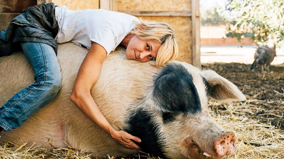 A era do veganismo: o fim dos prazeres da carne