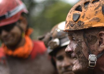 A dura rotina de Daisy, Vinícius e Selmo na linha de frente das buscas em Brumadinho