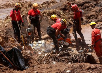 Não há desenvolvimento sem proteção ambiental
