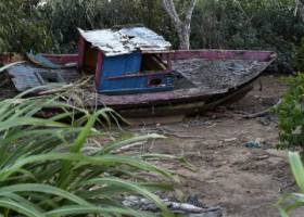 Resíduos de Brumadinho já matam os peixes do rio São Francisco