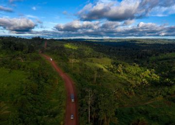 “Parceria Público-Privada” para o crime ambiental