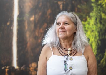 A incansável busca pela história do irmão desaparecido do Araguaia