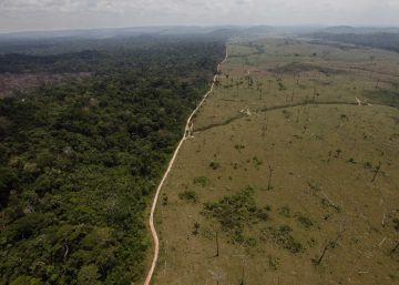 Brasil vai à mesa de negociação para discutir o futuro da Amazônia