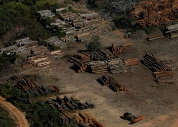 Dia do mau ambiente: o Brasil na mediocridade política