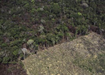 Amazônia: no centro do mundo e na periferia do Brasil