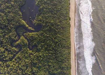 Uma geração que quer fincar pé no território tradicional