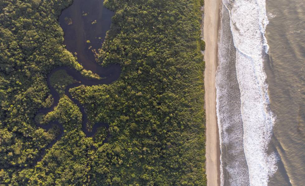 A região do Rio Verde é considerada o coração da Estação Ecológica Jureia-Itatins