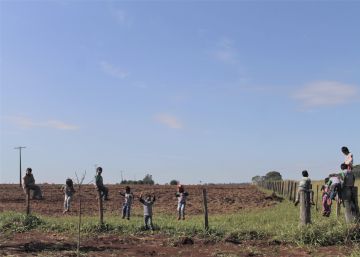 O calvário das crianças Guarani Kaiowá contaminadas por agrotóxicos