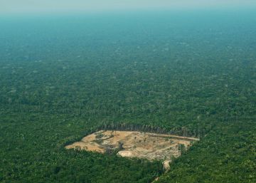 A Amazônia irá salvar os direitos humanos?