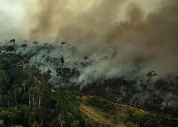 Bolsonaro já perdeu a cruzada contra o meio ambiente