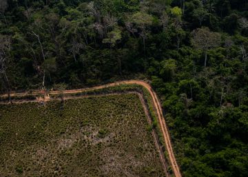 A ‘Amazônia fora da lei’ de Bolsonaro