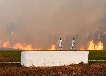 “Os incêndios na Europa serão tão devastadores como os da Amazônia”