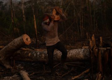O negócio milionário dos incêndios na Amazônia