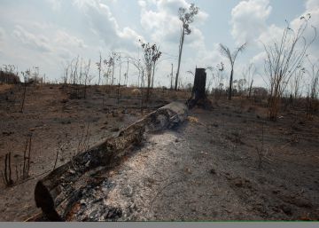 Quando o G7 salvou a Amazônia
