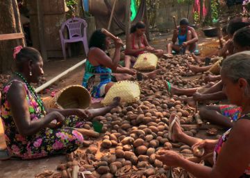 ‘Vozes da Floresta’, o documentário que revela as muitas crises do Brasil