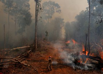 Governo não deve premiar os ladrões de terra na Amazônia