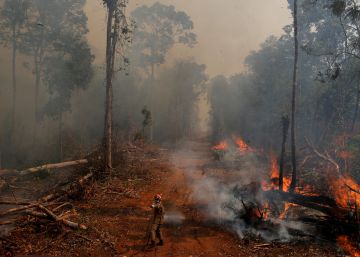Los gigantes del campo brasileño quieren salvar la Amazonia (y su negocio)