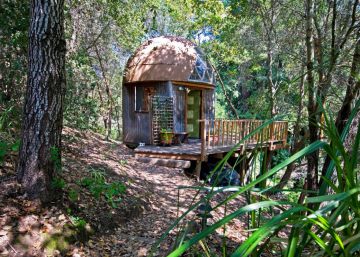 Uma cabana em forma de cogumelo é a casa mais visitada no mundo via Airbnb