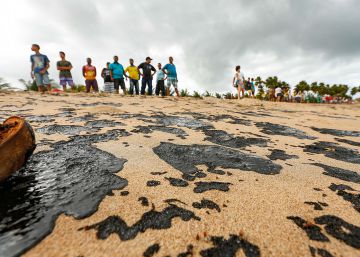 Mancha de óleo chega aos corais da baía de Todos os Santos, na Bahia
