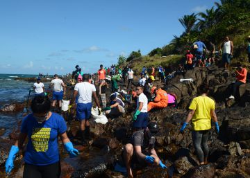O trabalho quase impossível de se limpar com as mãos as praias contaminadas por óleo do Nordeste