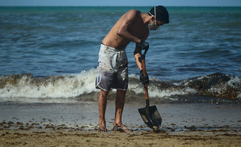 “Se ficar alguma ferida, vai ter valido a pena”; a luta dos voluntários contra o óleo em Pernambuco