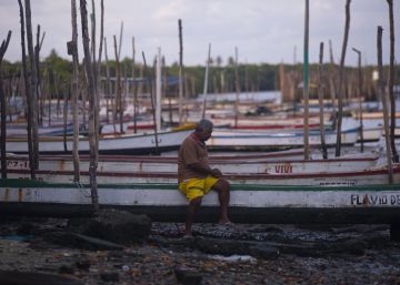 O pesadelo ambiental do Nordeste ameaça pescadores e PIB do turismo