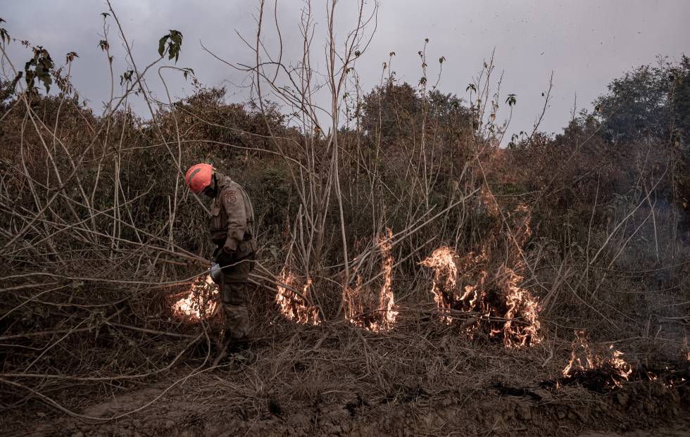 Fogo contra fogo no Pantanal