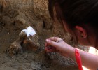 Una latrina de hienes prova que fa un milió d’anys l’home era llest Una latrina de hienes prova que fa un milió d’anys l’home era llest