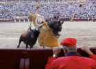 Palma antitaurina