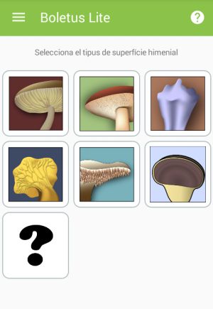 Cinc aplicacions per caçar bolets