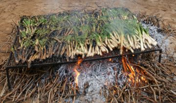 Cinc llocs per fer una calçotada