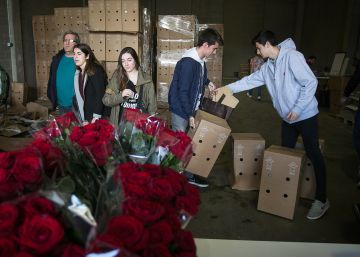 Cinc roses solidàries per Sant Jordi