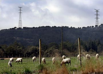 Més de cent persones han après l’ofici de pastor des del 2009 a Catalunya