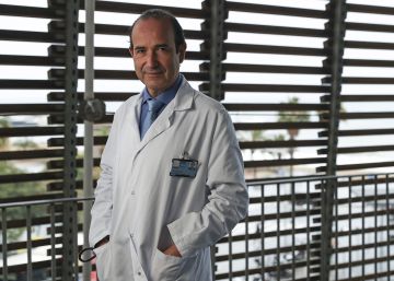 Los líderes de la investigación