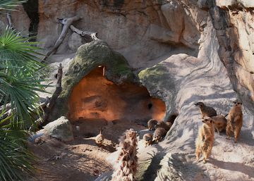 El Zoo també apuja la calefacció