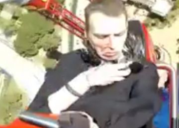 Un colom s’estampa a la cara d’un noi a la inauguració de Ferrari Land