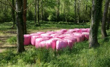 Els camps gironins es tenyeixen de color rosa contra el càncer de mama