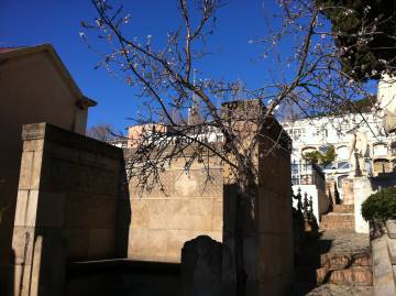 Cinc rutes pels cementiris de Barcelona