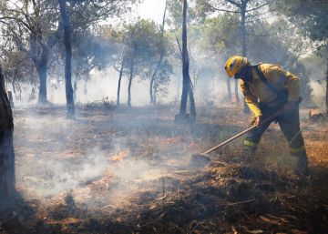 L’incendi de Doñana deixa atrapades 50.000 persones pel tall d’una carretera L’incendi de Doñana deixa atrapades 50.000 persones pel tall d’una carretera