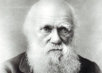 Llegiu Darwin!