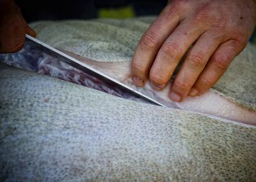 El bisbe de la bèstia, la gran sobrassada El bisbe de la bèstia, la gran sobrassada