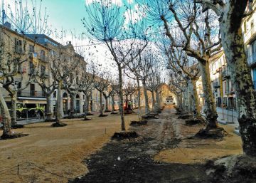 Olot, d’arbres i façanes