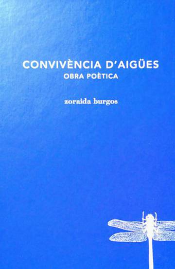 Amb bocins del que es va ser