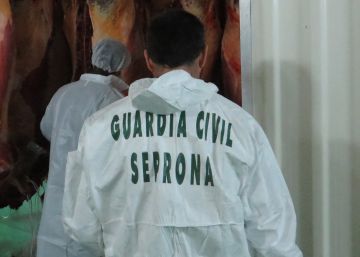Denunciat per tenir tres cavalls amb les potes davanteres lligades
