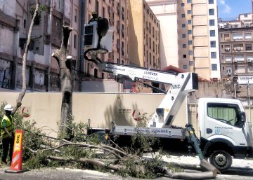 Adeu als arbres del carrer Casp amb passeig de Gràcia per les obres d’un hotel