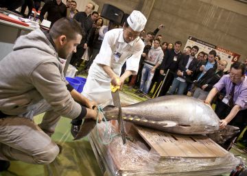 El Ministeri d’Agricultura prohibeix temporalment la pesca esportiva de tonyina vermella
