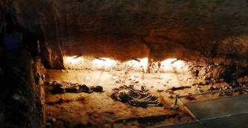Un recorregut per cinc coves catalanes